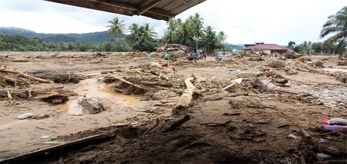 Data BNPB Korban Tewas Bencana Sumut 116 Orang 42 Hilang