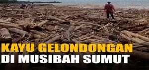 Gelondongan Kayu Terbawa Banjir di Sumatera: Fakta & Dampak