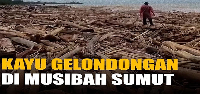 Gelondongan Kayu Terbawa Banjir di Sumatera: Fakta & Dampak