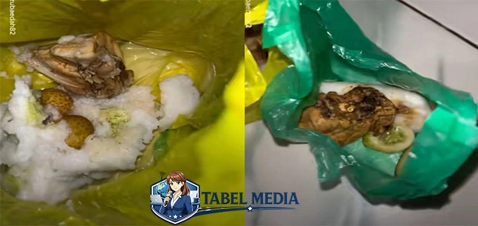 BGN Buka Suara soal MBG Balita dan Bumil Pakai Kantong Kresek