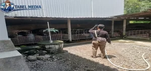 SPPG di Sragen Bersebelahan Kandang Babi NasDem Kritik Izin