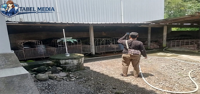 SPPG di Sragen Bersebelahan Kandang Babi NasDem Kritik Izin